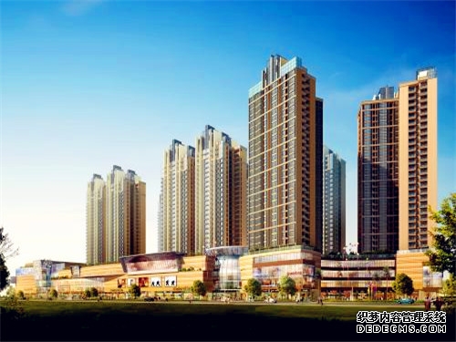 “大唐红”荔缀满枝 用心培育“致富果”